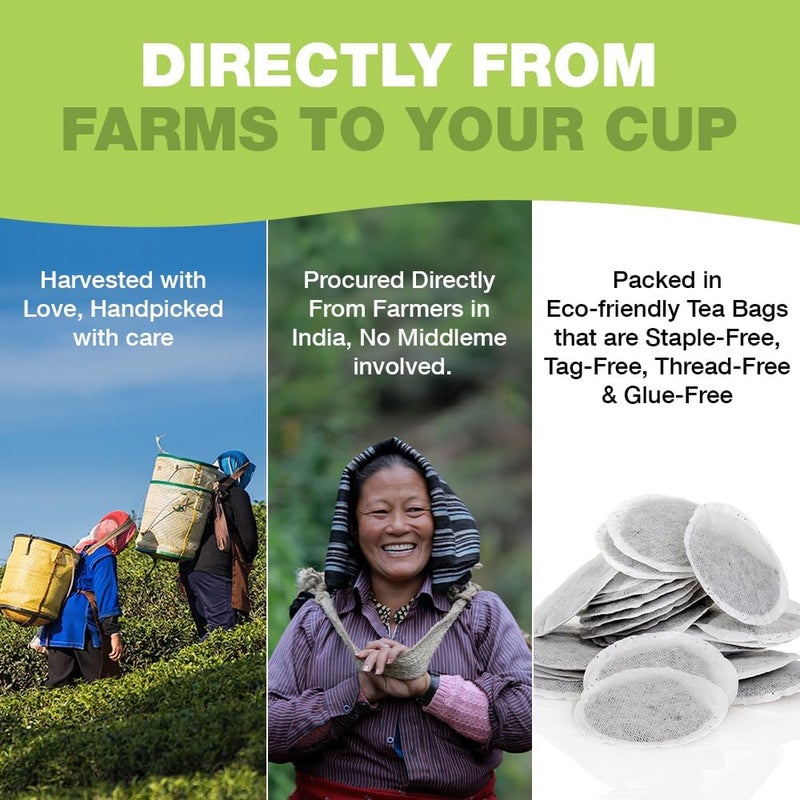HANDPICK 100% Pure Green Tea Bags - Image 3